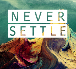 Never Settle – The Meritocracy of Sales