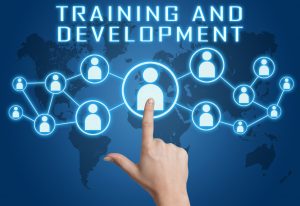 Does your recruiter provide sales training?